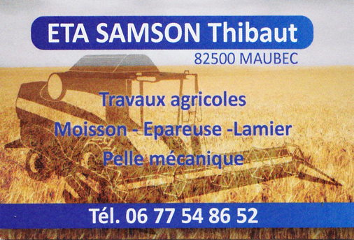 ETA Samson